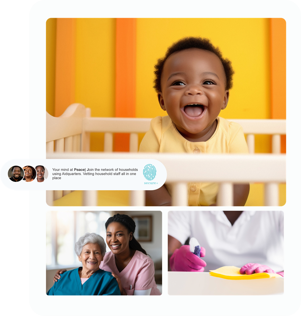 Professional household staff